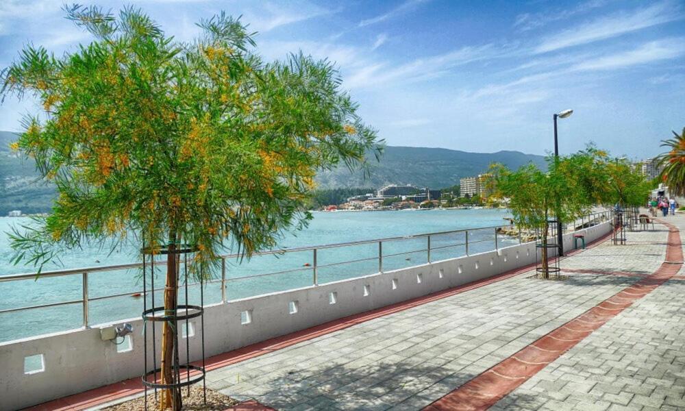 Villa Montanja Herceg Novi Bagian luar foto